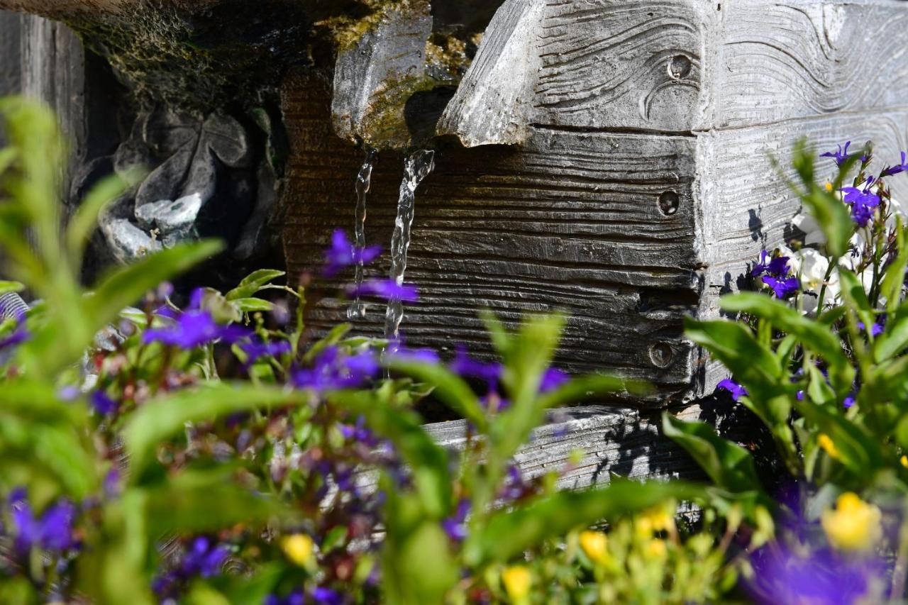 Landhotel Jungbrunnen Bad Brambach Buitenkant foto